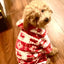 Pet Christmas Clothing Warm Fleece Hoodie