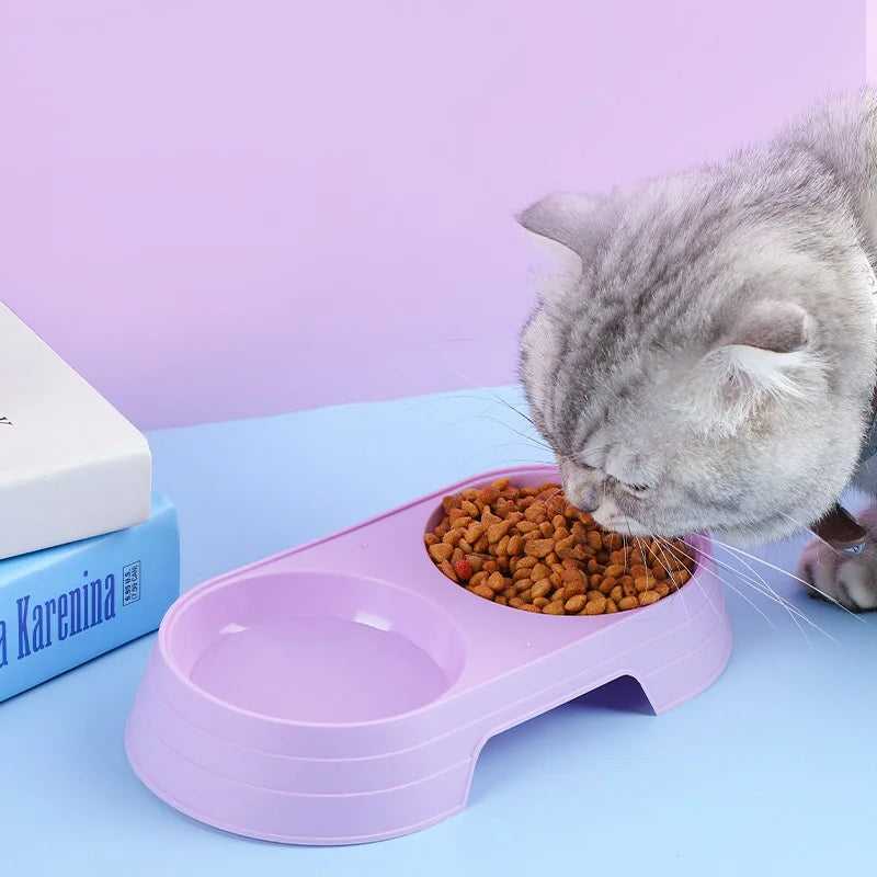 macaron pet double bowl plastic kitten dog food drinking tray feeder cat feeding5