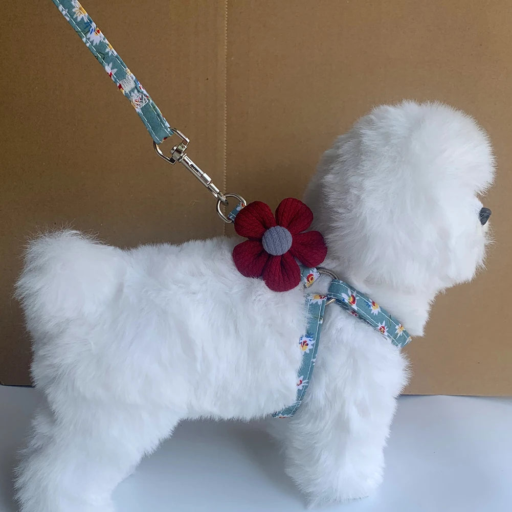 44273491443930|44273491640538