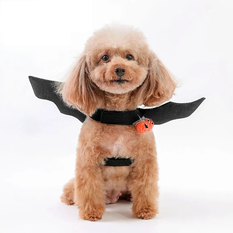 halloween bat wings funny cat dog cosplay costume with pumpkin bells1