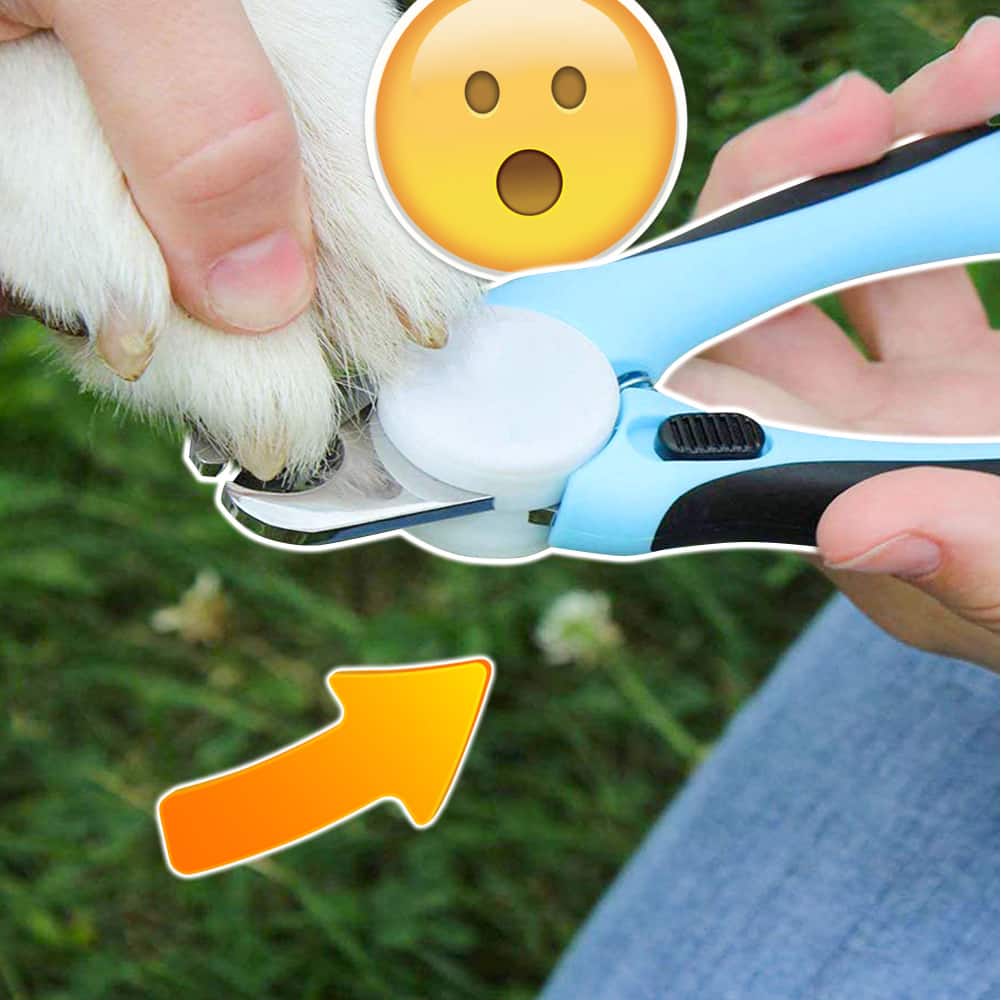 Precision Nail Trimmer | Effortlessly Trim Your Pet's Nails with Ease