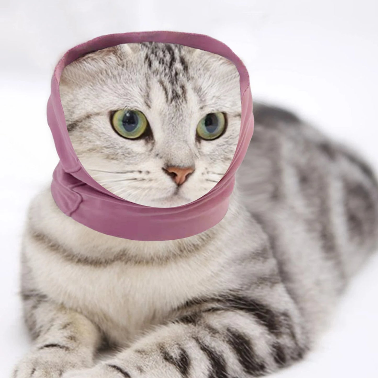 dog grooming earmuffs warm anti-noise headgear washable elastic ear caps3