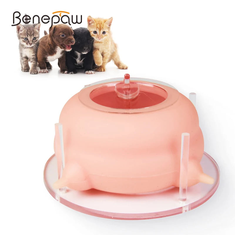 Newborn 4 Nipples Puppies Kittens Milk Feeding Bowl With Stand Nursing Station
