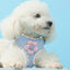 dog cat harness vest chest rope set breathable adjustable pet harness for small medium dogs outdoor walking