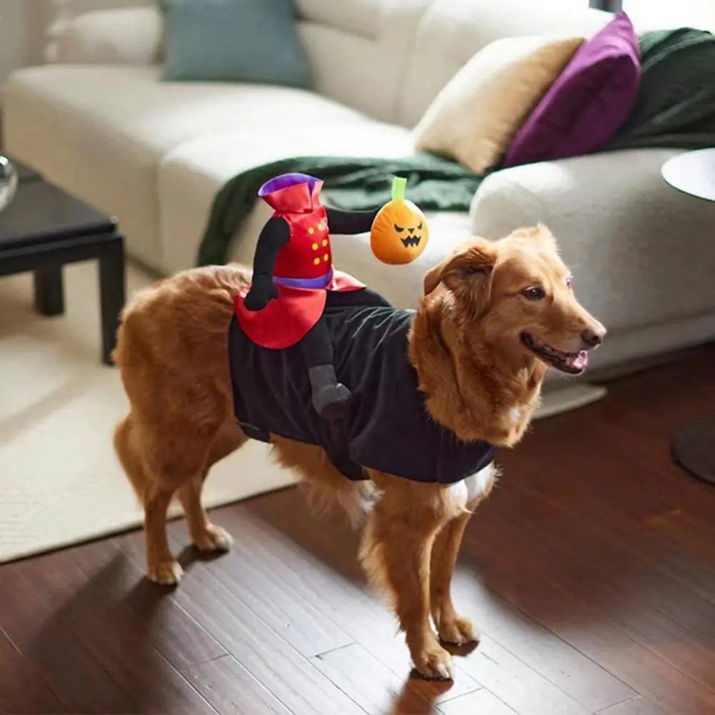 chucky inspired halloween pet costume pumpkin ride design for all sizes of pets