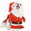 dog christmas santa claus winter coat hoodie warm pet clothes for small medium dogs1