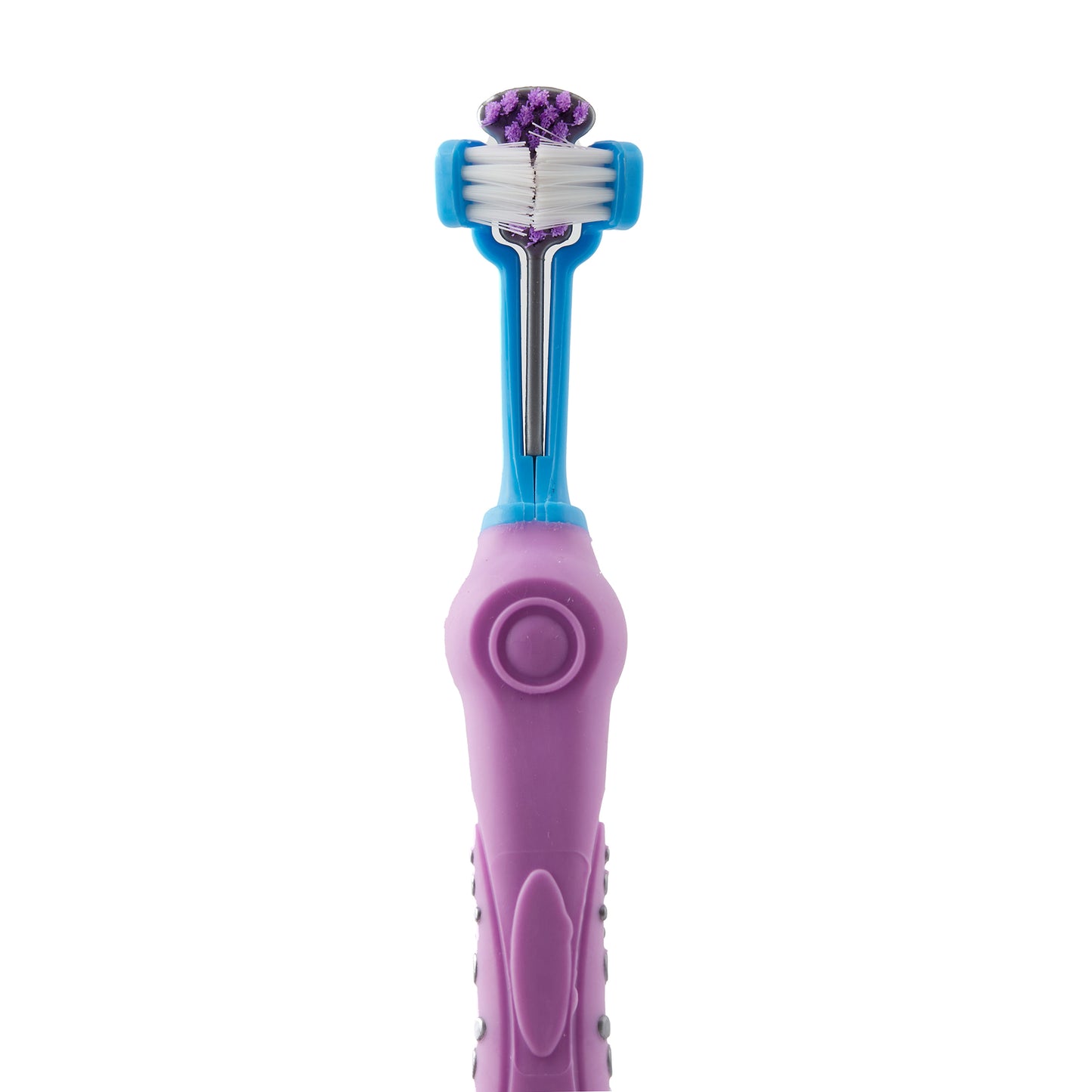pet toothbrush maintain dental health for your beloved companion24