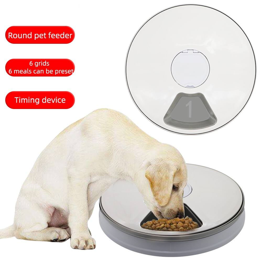 automatic round 6 meals 6 grids pet feeder electric dry food dispenser 24 hours feed pet supplies1