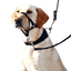 best dog headcollar for gentle and effective dog training