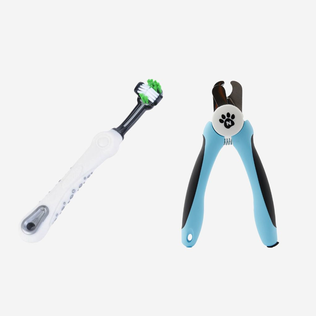 combo deal, pet toothbrush and precision nail trimmer three sided toothbrush sharp dog and cat nail trimmers