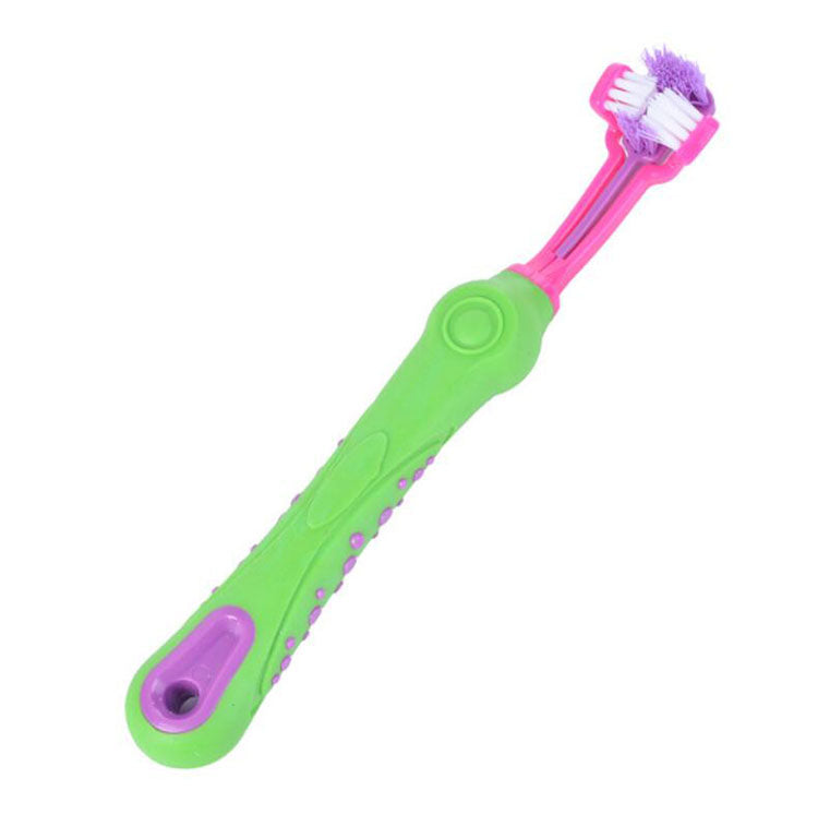 pet toothbrush maintain dental health for your beloved companion10