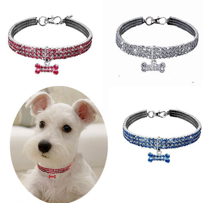 An image of a small white dog wearing the red Pet Collar Necklace along with images of the pink, white, and blue collars.