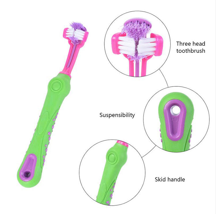pet toothbrush maintain dental health for your beloved companion2