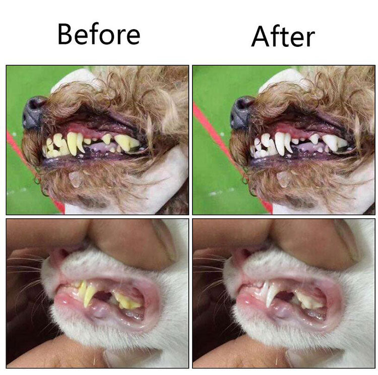 pet toothbrush maintain dental health for your beloved companion5