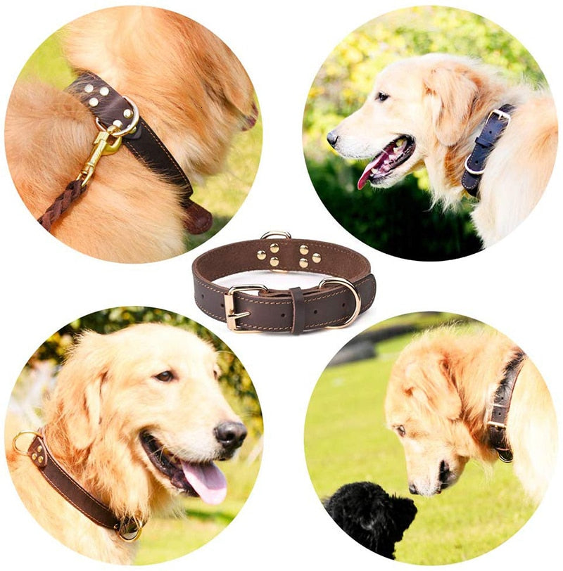 leather durable vintage heavy-duty pet collar4