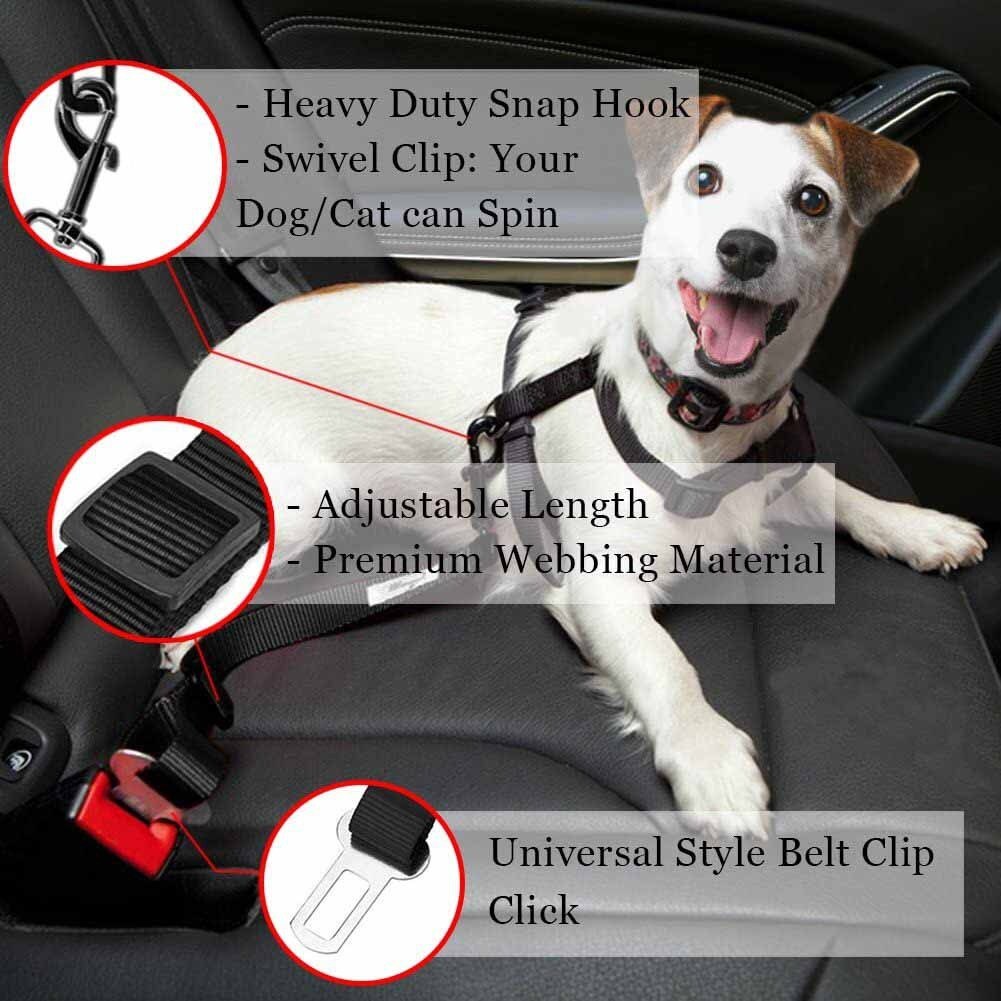 Cat Car Seat Belt