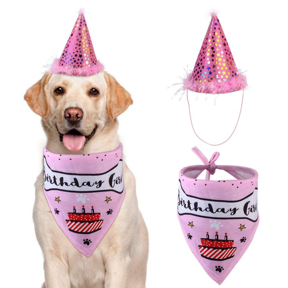 Cat Dog Bibs Birthday Costume