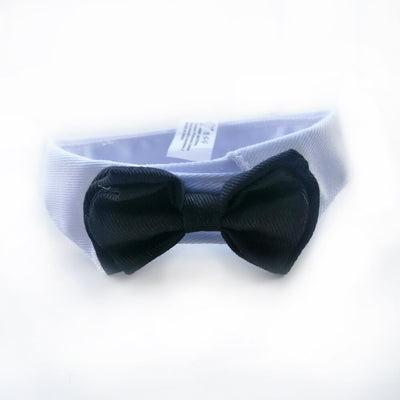 Black bowtie with a white collar.