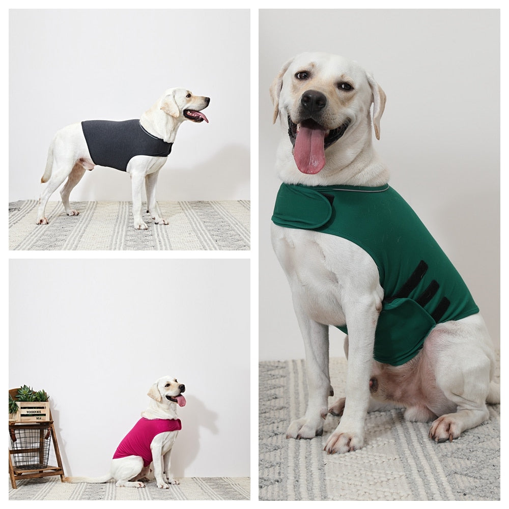 Dog & Cat Anxiety Vest, Small Medium & Large