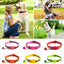 Safety Buckle With Bell Cute Pet Products Colorful Nylon Pet Collars Cat