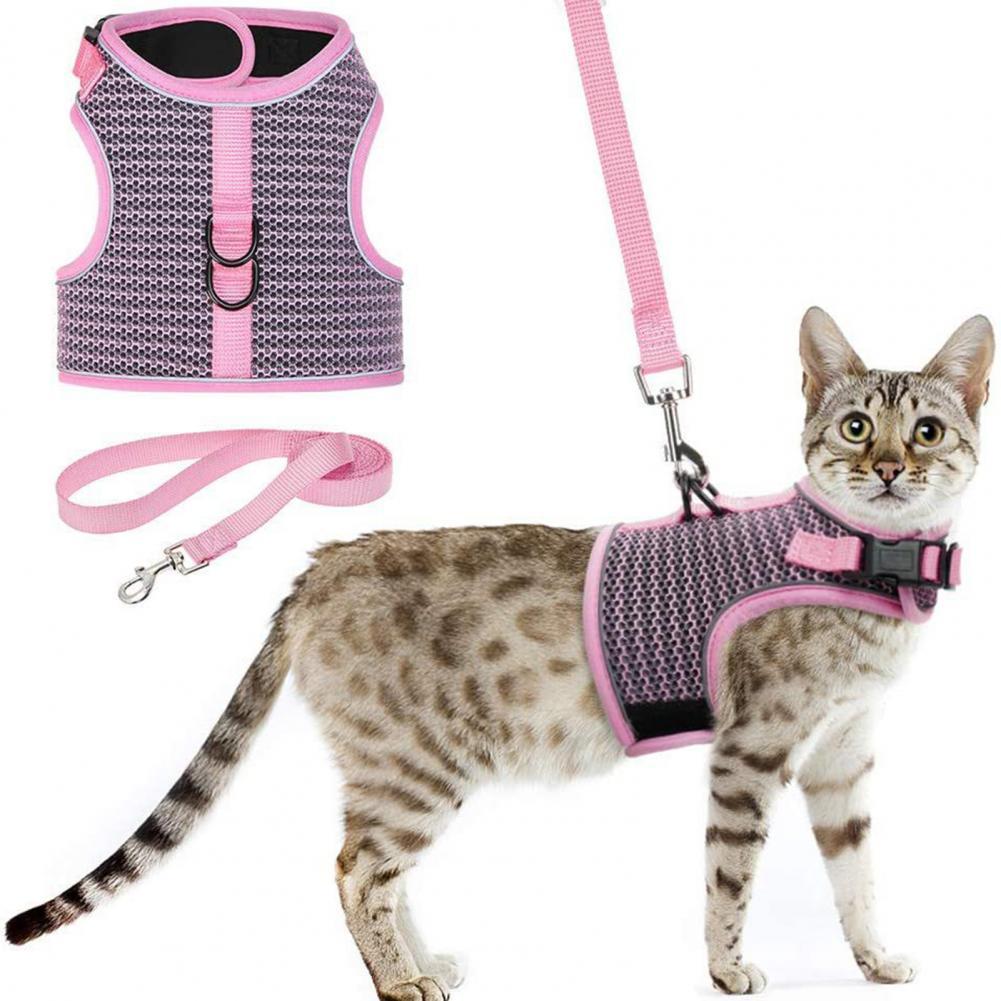 anti-escape harness leash set