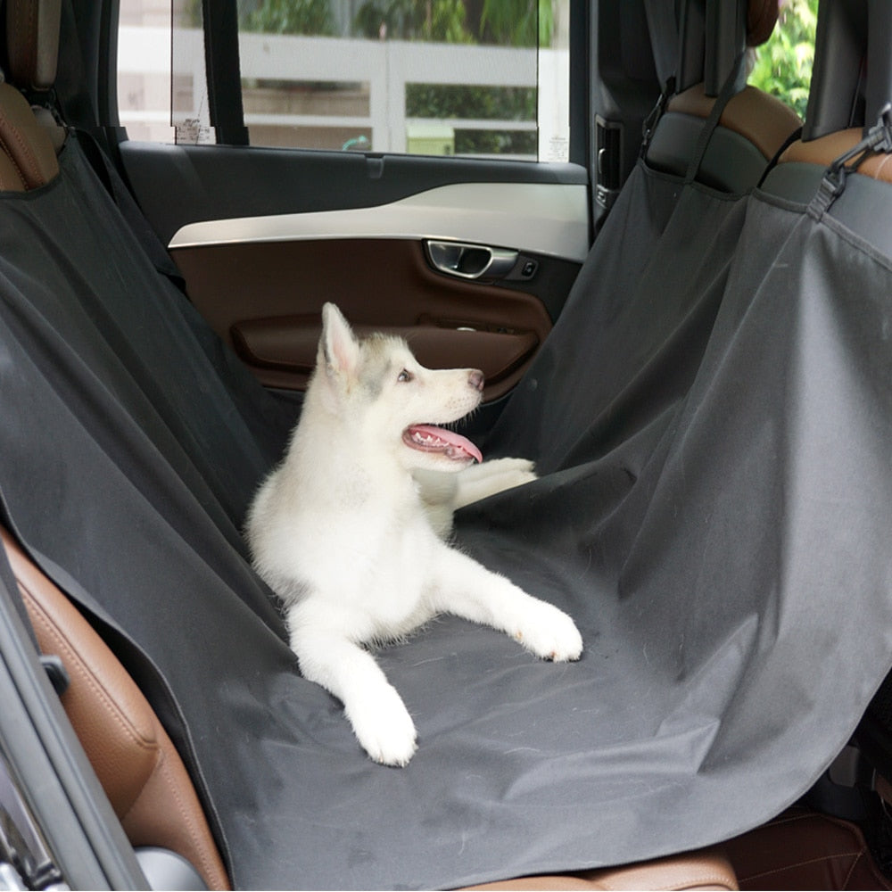 Cat Dog Car Back Seat Cover