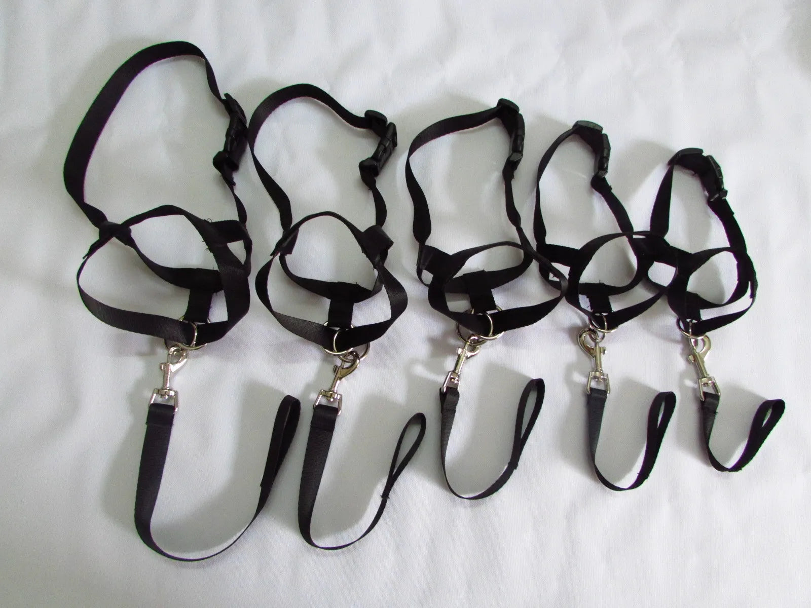 best dog headcollar for gentle and effective dog training2