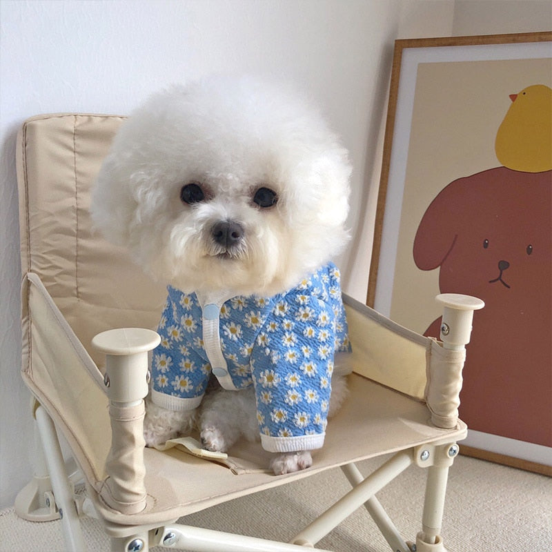 Daisy Print Dog Sweater