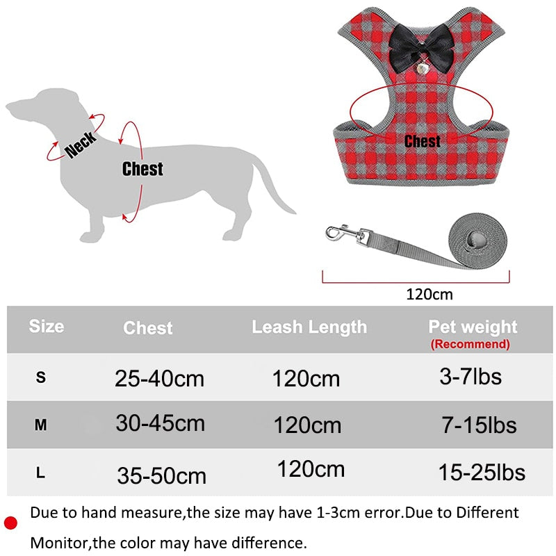 Dog and Cat Harness Leash Set