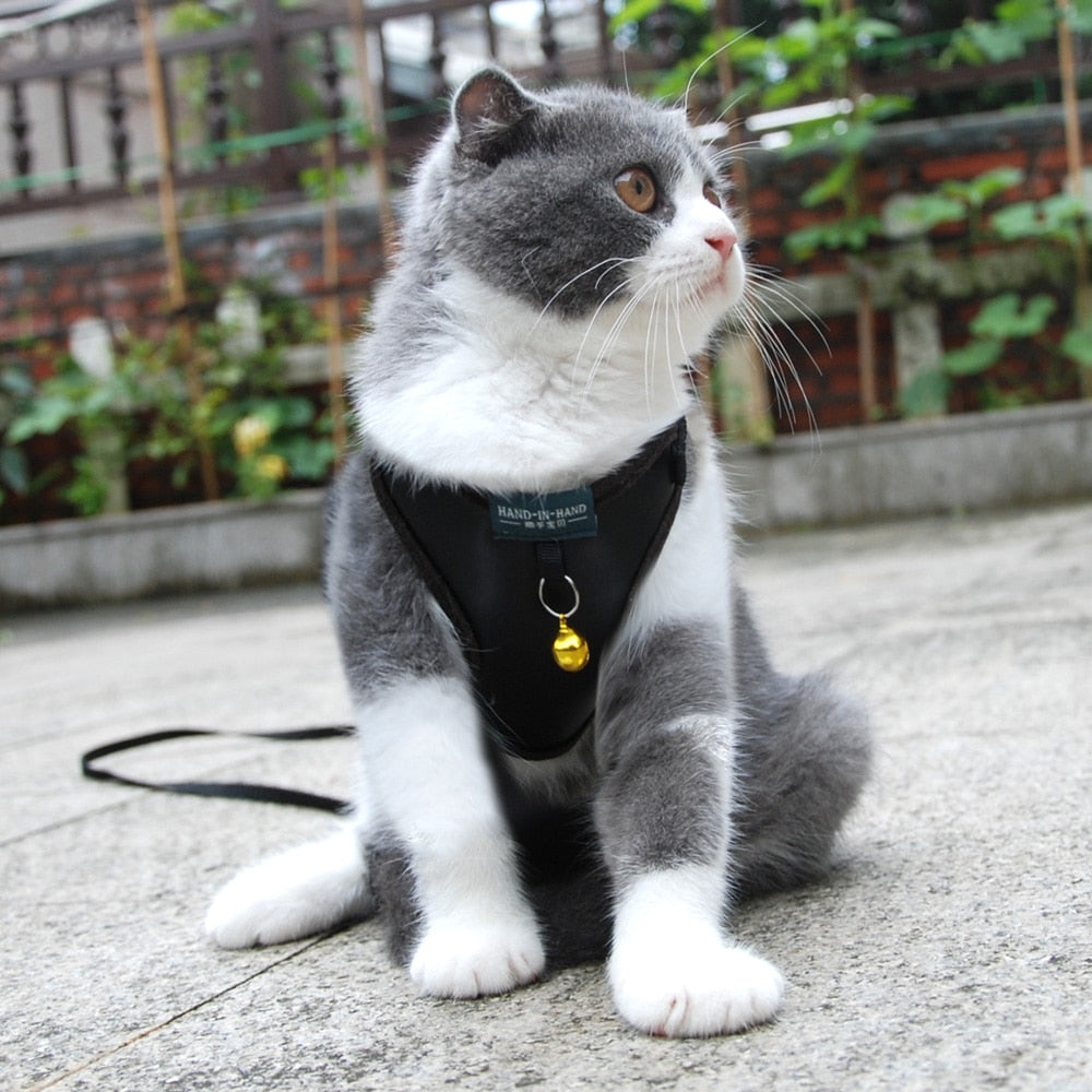 Adjustable Harness with Bell Walking Leash