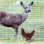 24-Strands Heavy Anti Bird Netting Deer fence Garden fence Cat