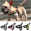 Colorful pattern Easy Control Handle vest harness