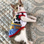 Cute Sphynx Cat Shirt Vest for Cats