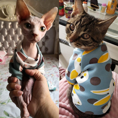 cats winter kedi katten sphynx sweatshirt hoodie