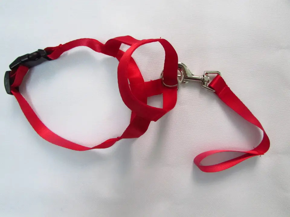 best dog headcollar for gentle and effective dog training3
