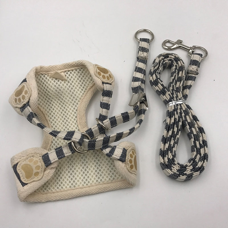 Padded  Harness and Leash Set