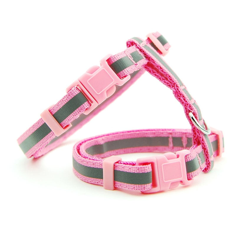 Reflective and Adjustable Pet Collar Harness Leash, Halter Collar Pet Harness Belt