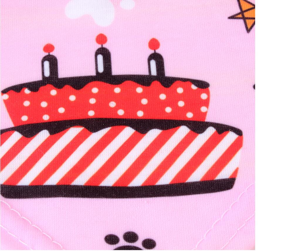 Cat Dog Bibs Birthday Costume
