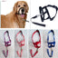 best dog headcollar for gentle and effective dog training4