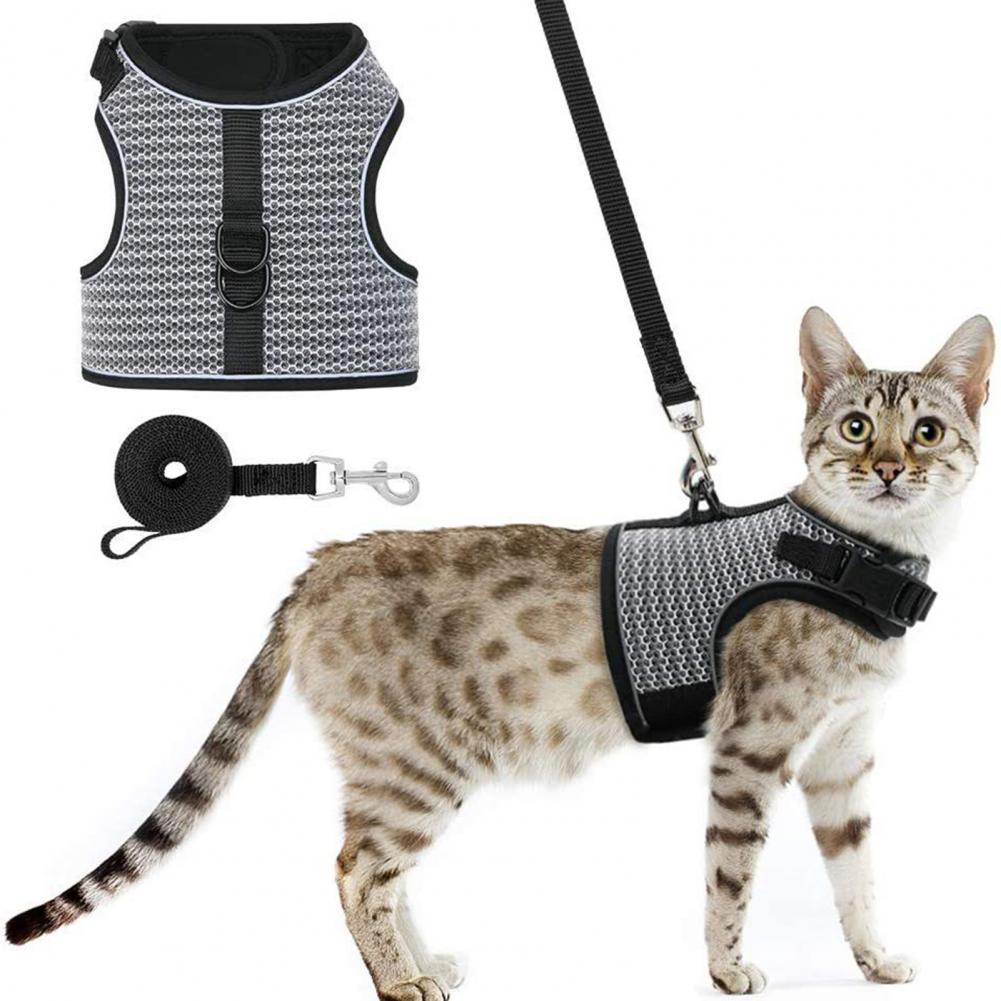 anti-escape harness leash set6