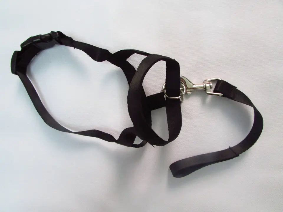 best dog headcollar for gentle and effective dog training5