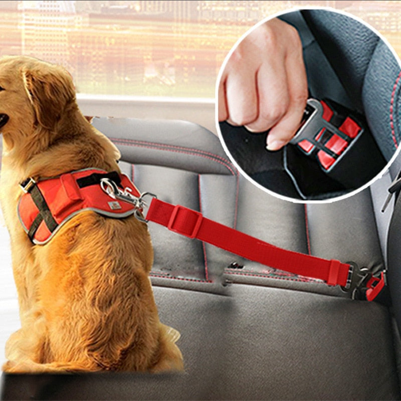Cat Car Seat Belt