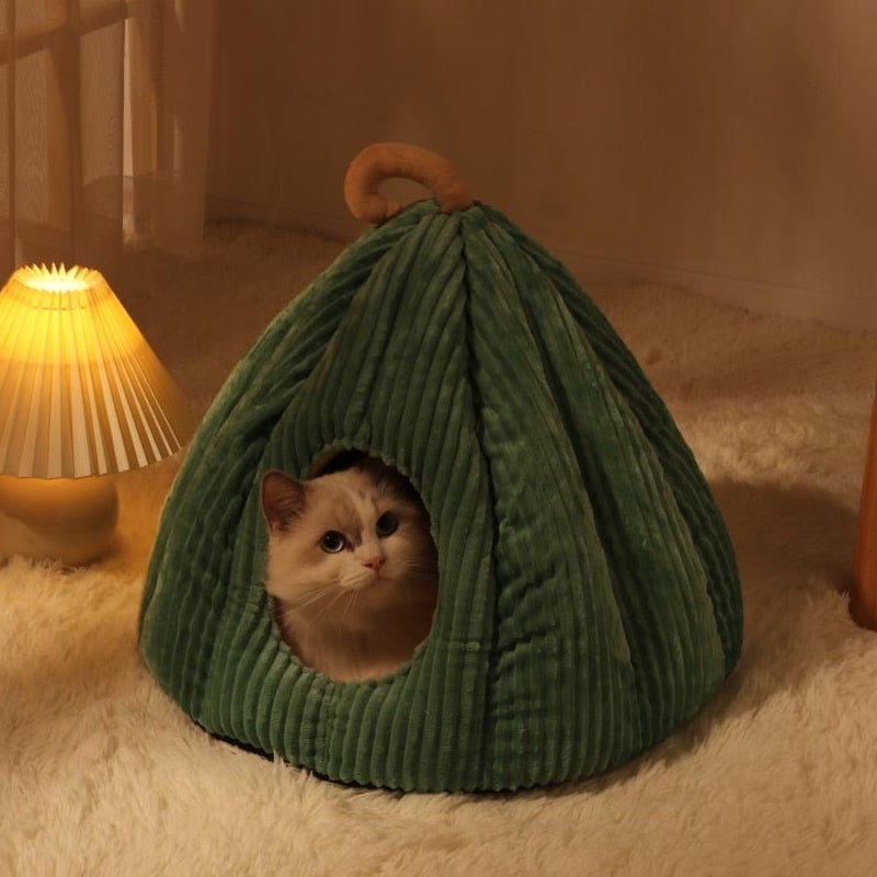 Warm Cat House