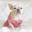 Luxury Pet Cats and Dog Pajamas Soft Silk