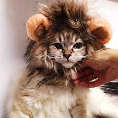 lion mane costume1