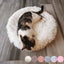 Cat Plush Round Cushion