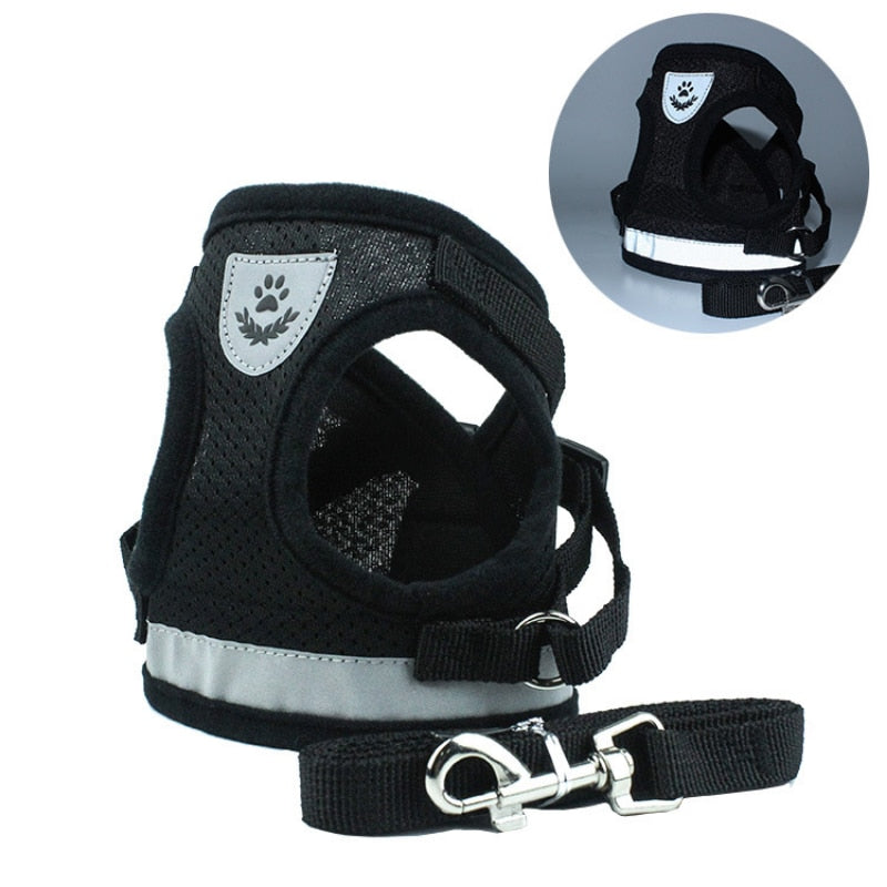 Breathable Cat Harness and Leash Escape Proof Pet Clothes