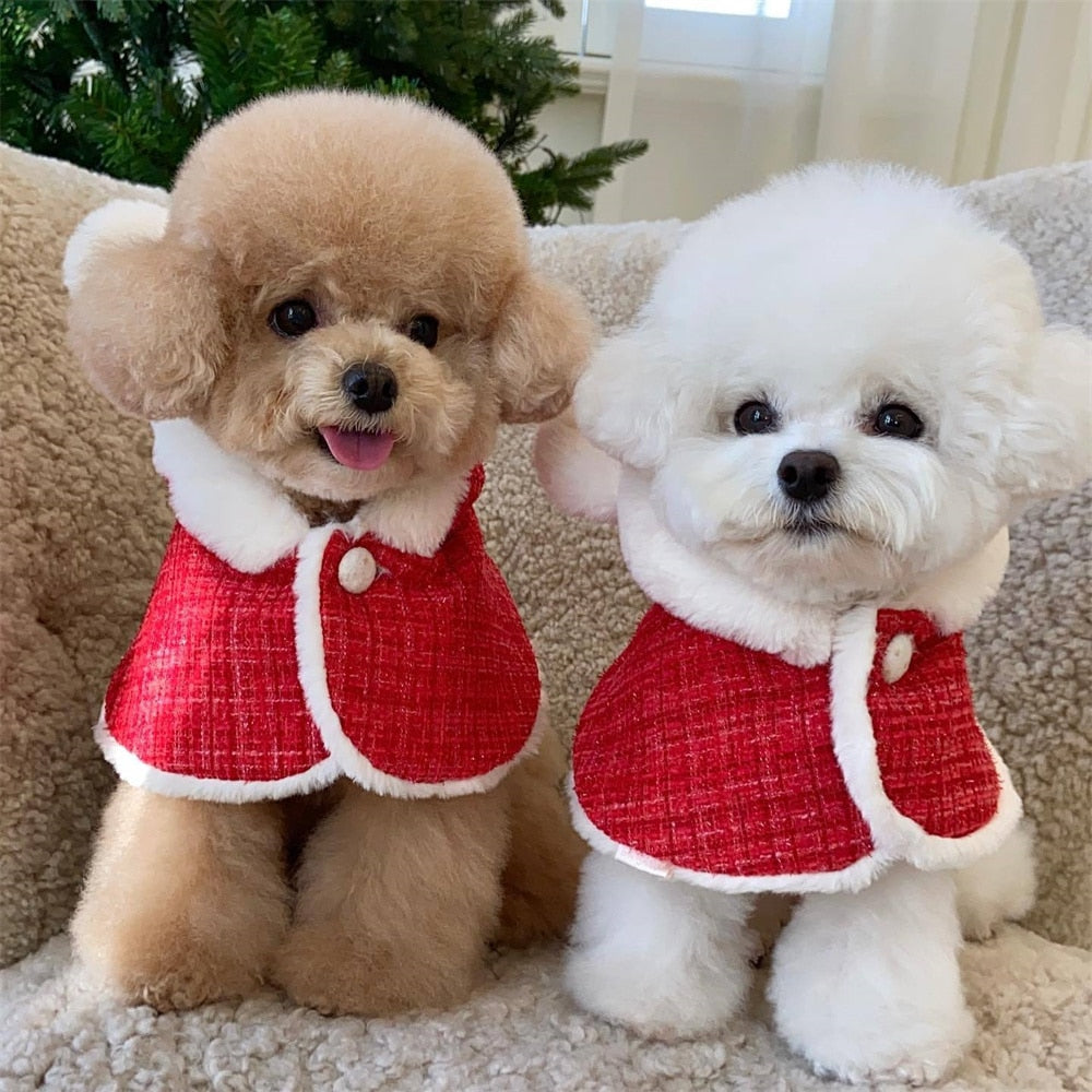 Two dogs wearing Christmas-Themed Dog Capes.