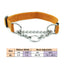 Nylon Dog Slip Pinch Collar with Welded Link Chain