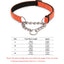 Stainless Steel Chain Reflective Nylon Fabric Collars
